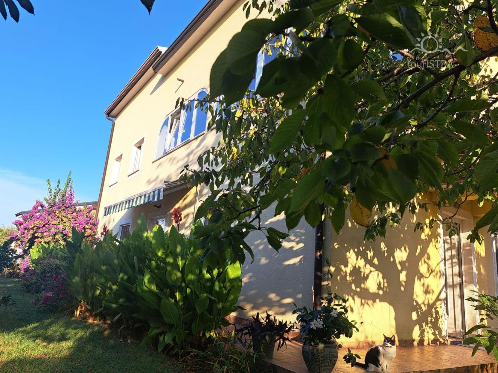 Bozica House With Apartments Murine Exterior foto